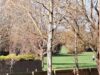 A photo of property at The Dials, Alney House, Elizabeth Coxhead Gardens, Hinckley